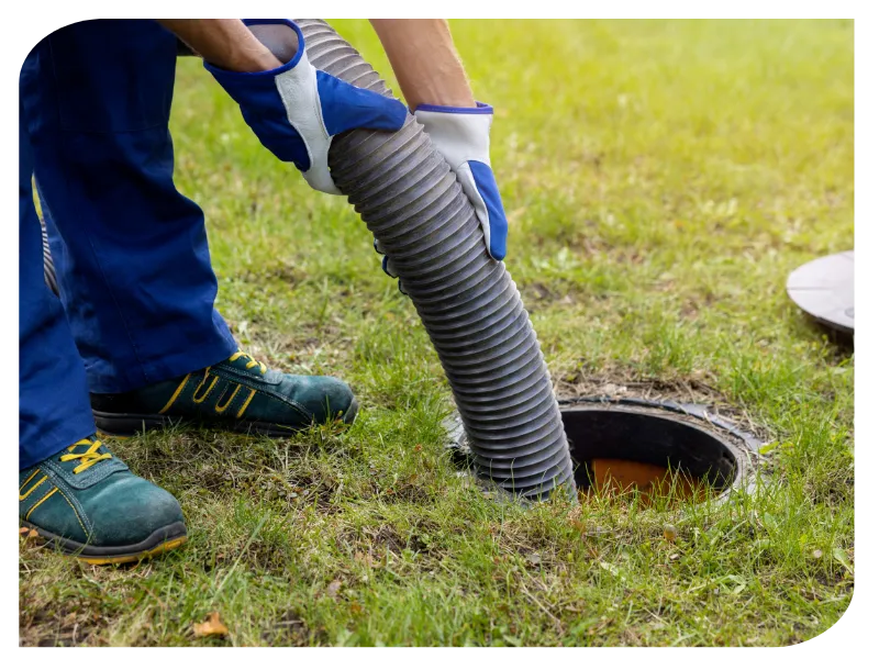 assainissement le lion d angers