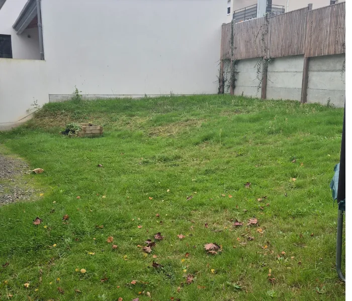 before-image