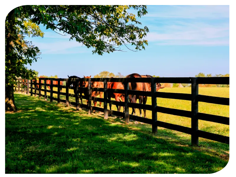 levage manutention les ponts de ce