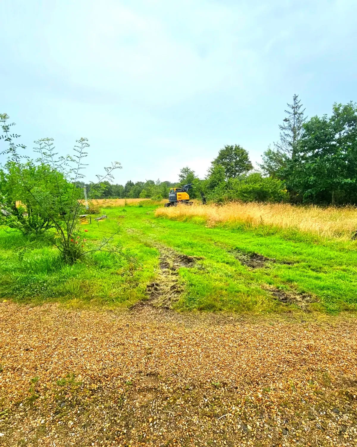 before-image