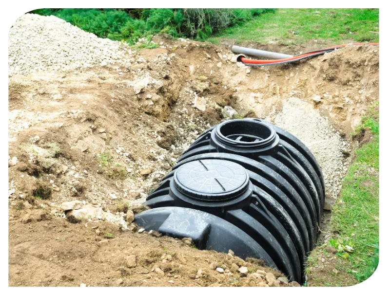 terrassier le lion d angers