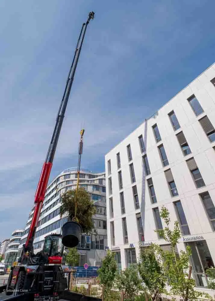 terrassier montreuil juigne